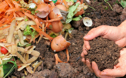 RECOLHA SELECTIVA DE BIORESÍDUOS VAI POTENCIAR RECICLAGEM